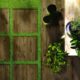 Ragno gres Woodtale