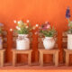 Decorare il balcone con i fiori, sedie