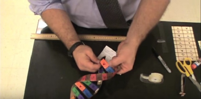 Come costruire il codice genetico del DNA con la carta