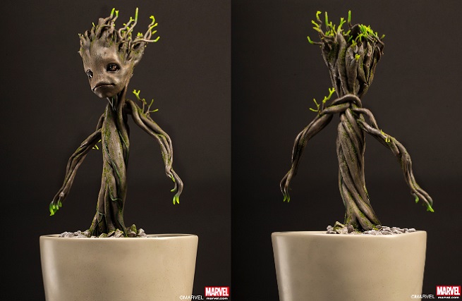 groot nel vaso