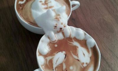 Latte art 3d