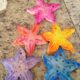 Pasta di sale stelle marine