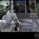 star wars yoda
