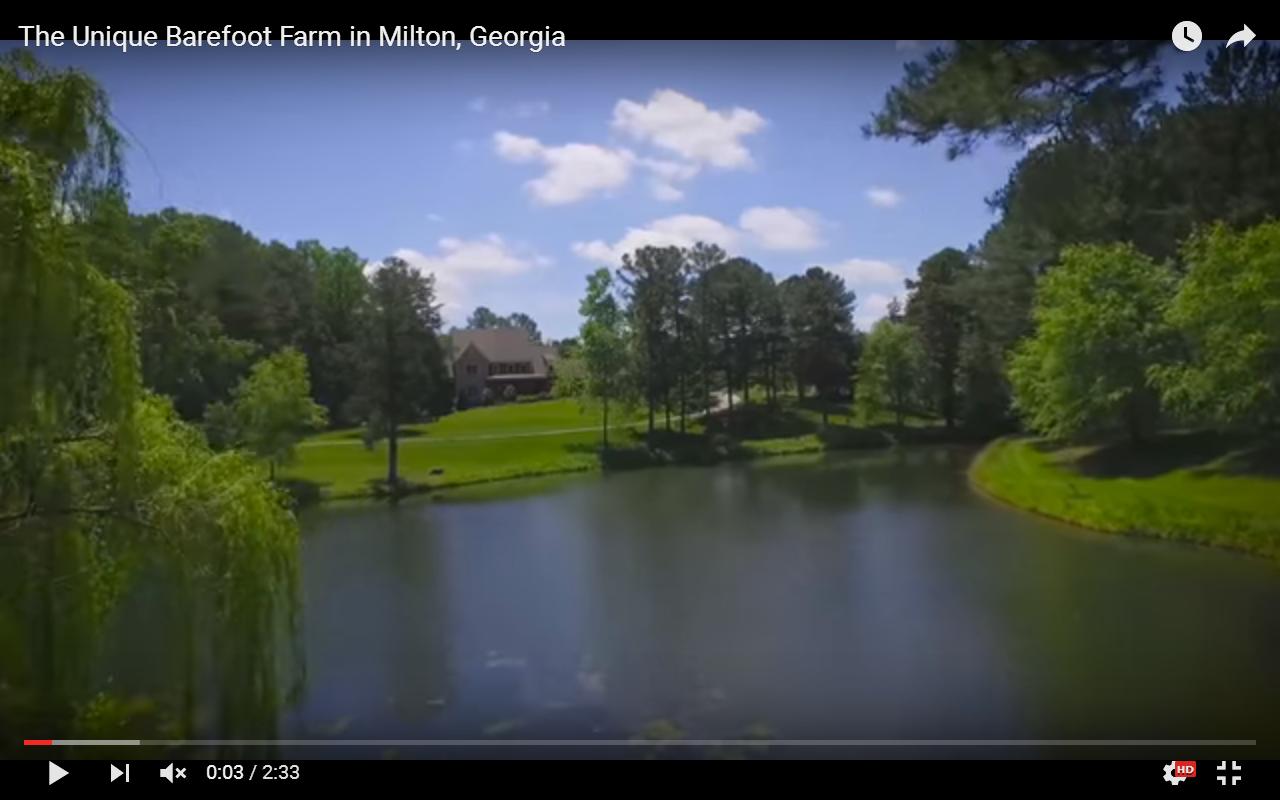 Villa di lusso con lago privato in Georgia [Video]
