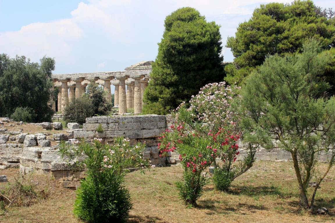 Scavi di Paestum