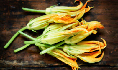 fiori di zucca
