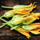 fiori di zucca