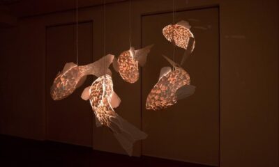 Frank Gehry mostra
