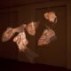 Frank Gehry mostra