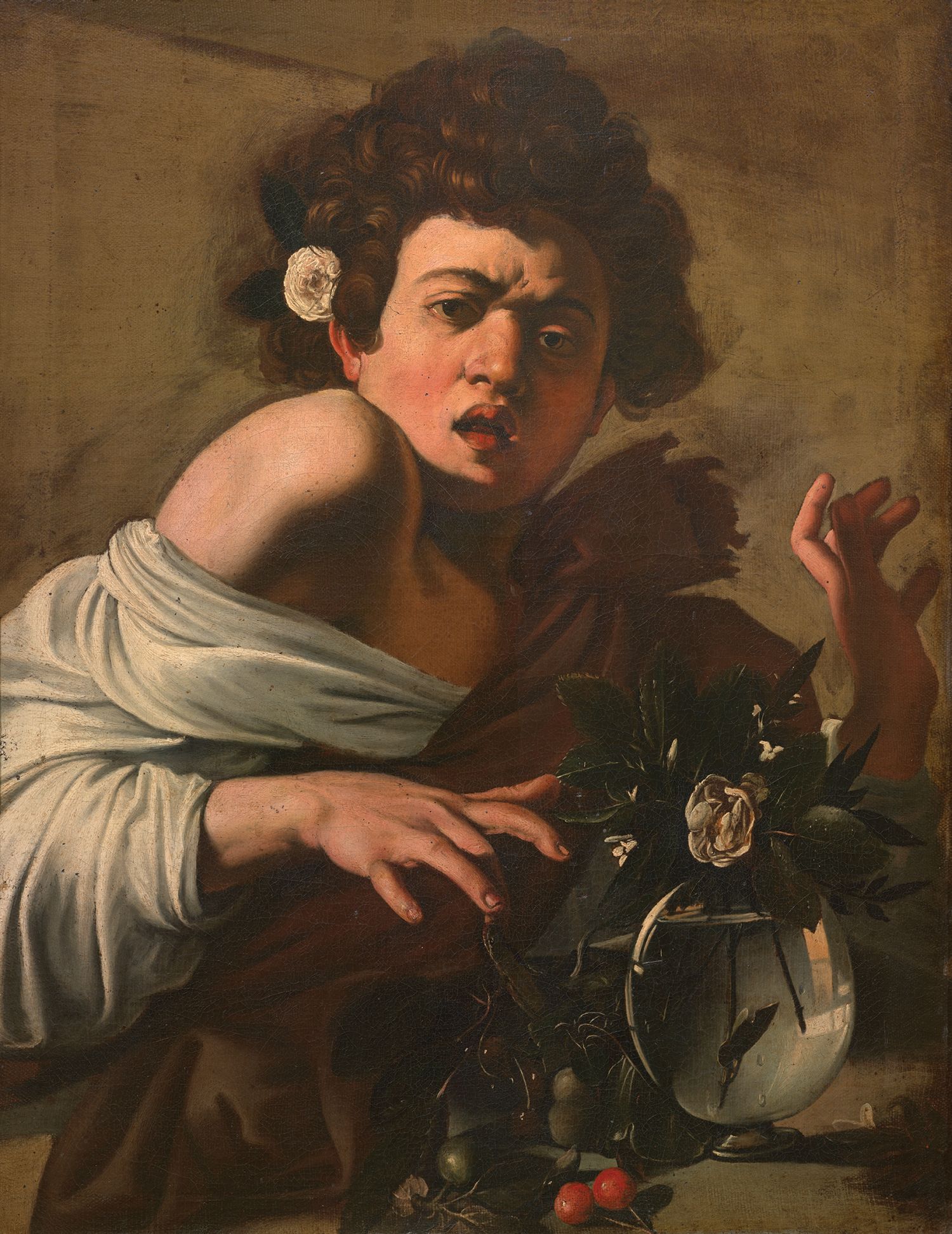 &#8220;Ragazzo morso da un ramarro&#8221; di Caravaggio in mostra ad Ancona