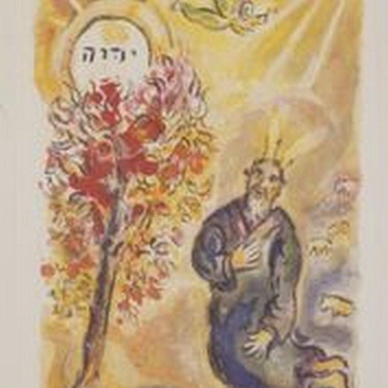 Missoni Chagall: la mostra al Museo Archeologico di Sesto Calende, le foto