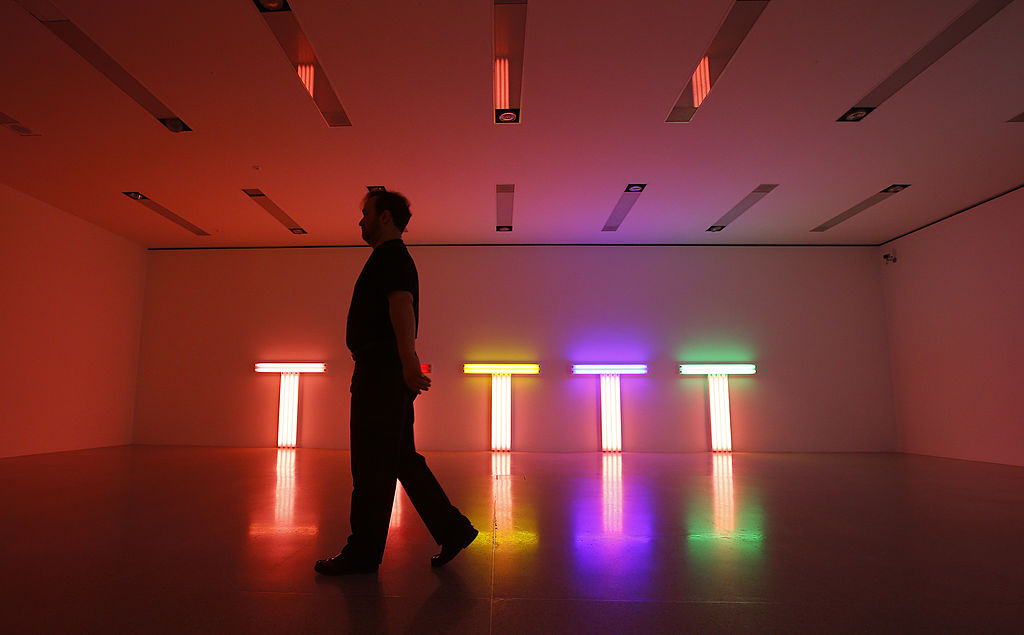 Dan Flavin, opere e biografia