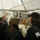 Lucca Comics & Games