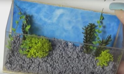 Acquario finto