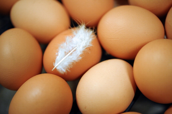 Dieta vegana sostituire le uova