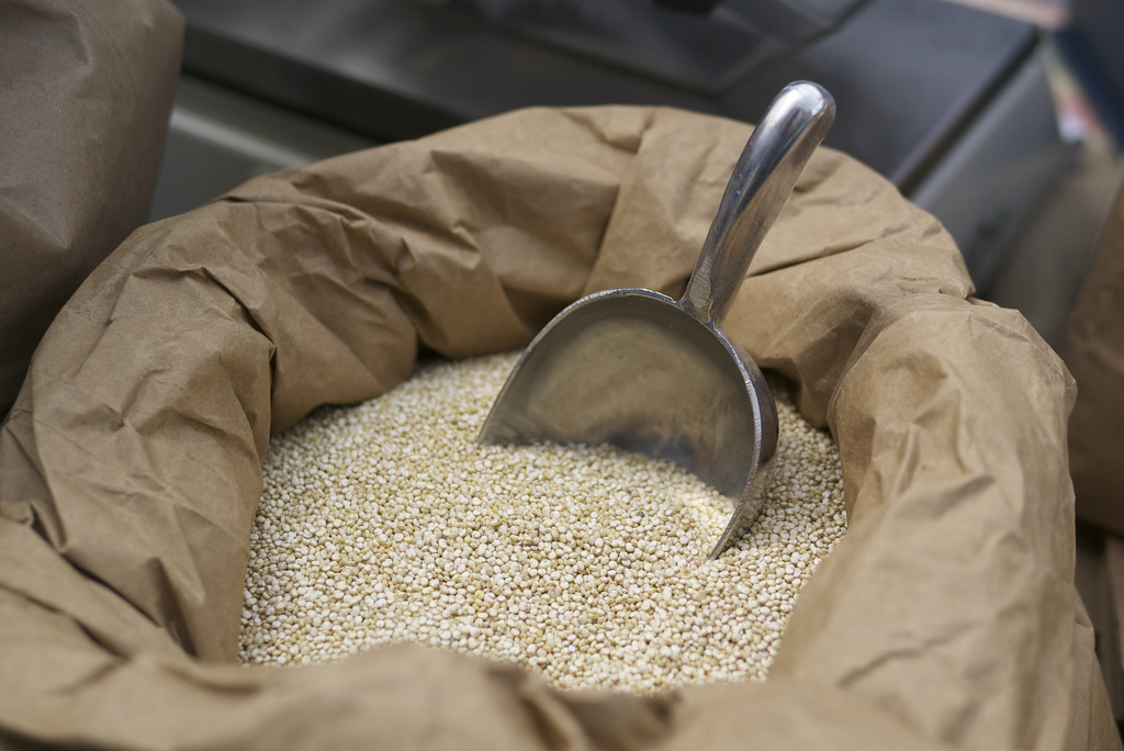 Come coltivare quinoa