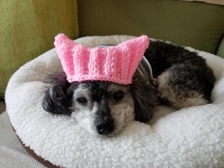Pussyhat, il cappellino rosa con le orecchie da gatto per dire basta al sessismo