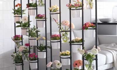 Giardino indoor idee