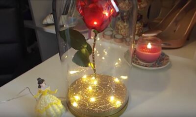 Rosa incantata fai da te La Bella e la Bestia