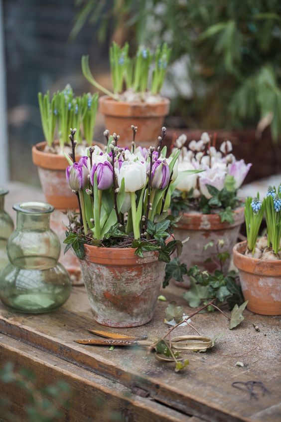 Giardinaggio, i vasi e i contenitori migliori da scegliere per le nostre piante