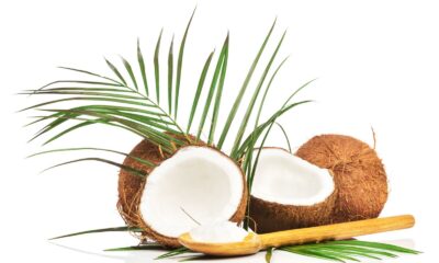 Olio cocco usi