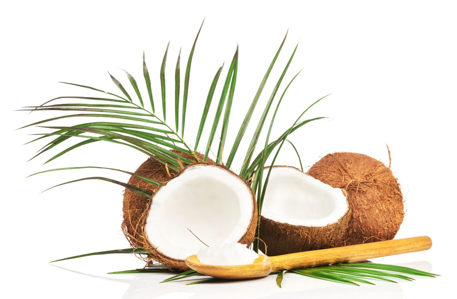 Olio cocco usi