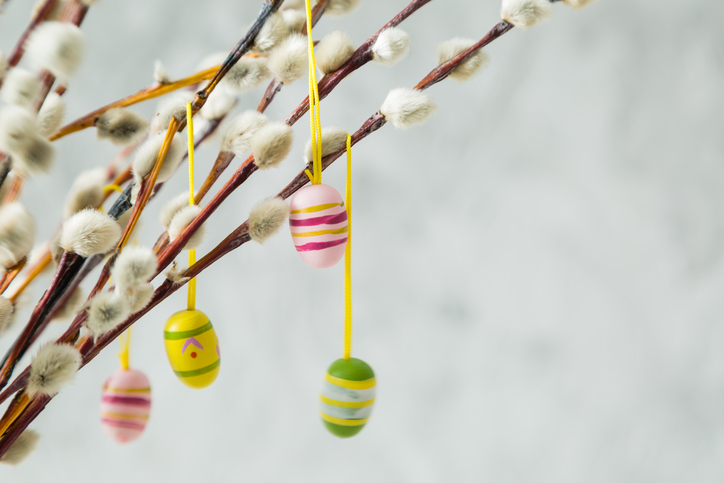 Come fare l&#8217;albero di Pasqua con il fai da te