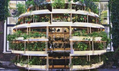 Ikea GrowRoom