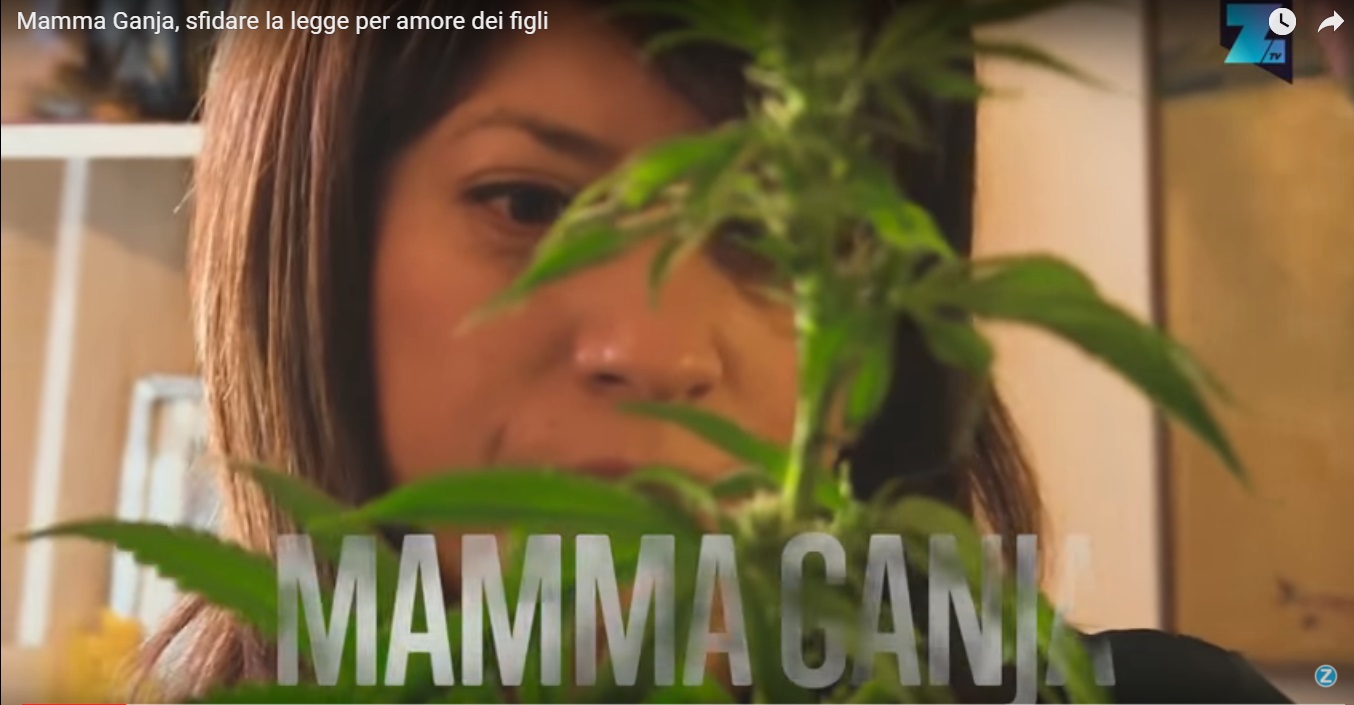 Ecco Mamma Ganja, una donna che sfida la legge per amore dei figli