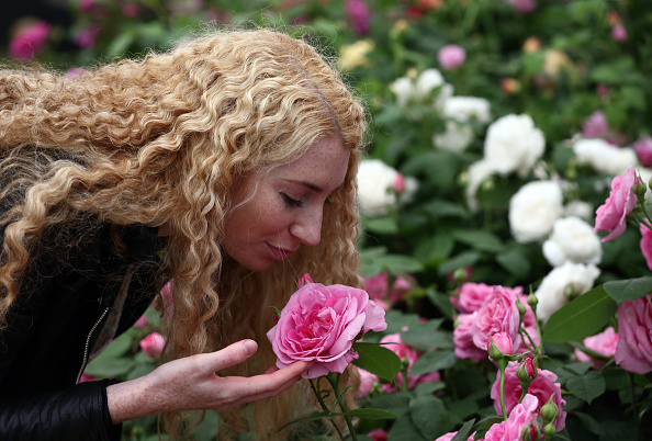 Piante e fiori da giardino: i più belli e colorati da coltivare per ravvivare gli spazi esterni