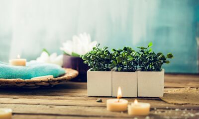 SPA in casa