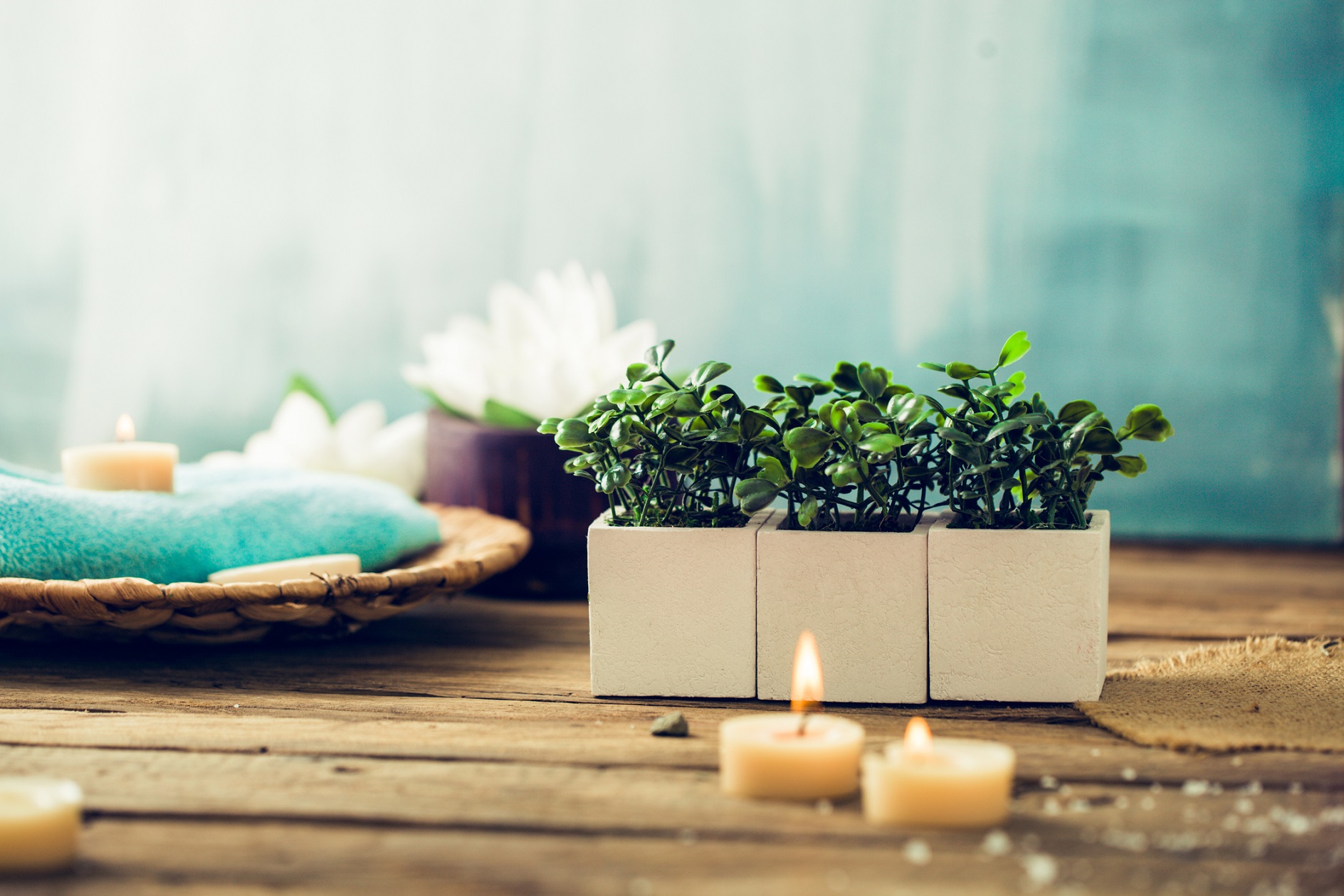 SPA in casa