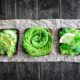 antipasti con l'avocado