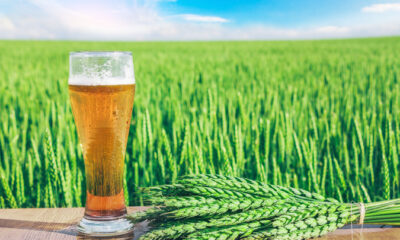 birra bellezza