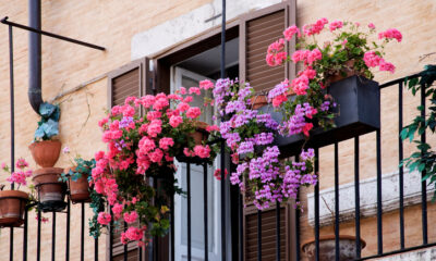 Decorare il balcone con i fiori, vasi sulla ringhiera