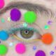 Pom Pom Makeup