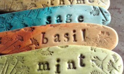 Colorare pasta sale