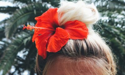 Chignon