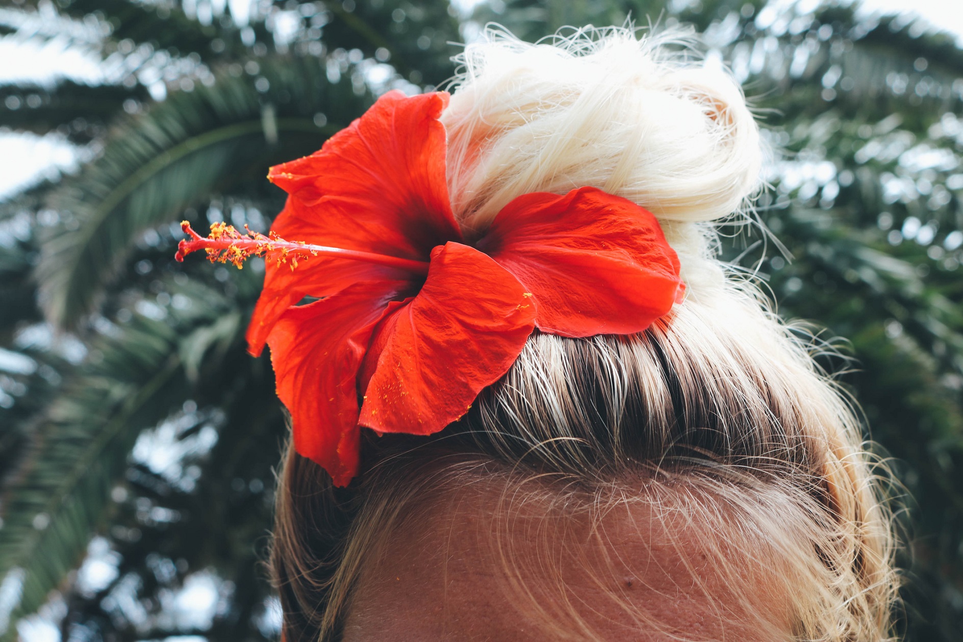 Capelli: tutte al mare con le acconciature più trendy dell’estate