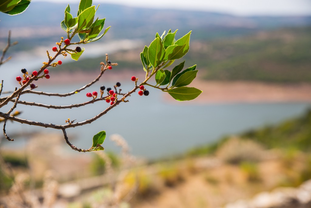 Mirto Zedda Piras: Alghero e il viaggio dei sapori nel cuore della Sardegna