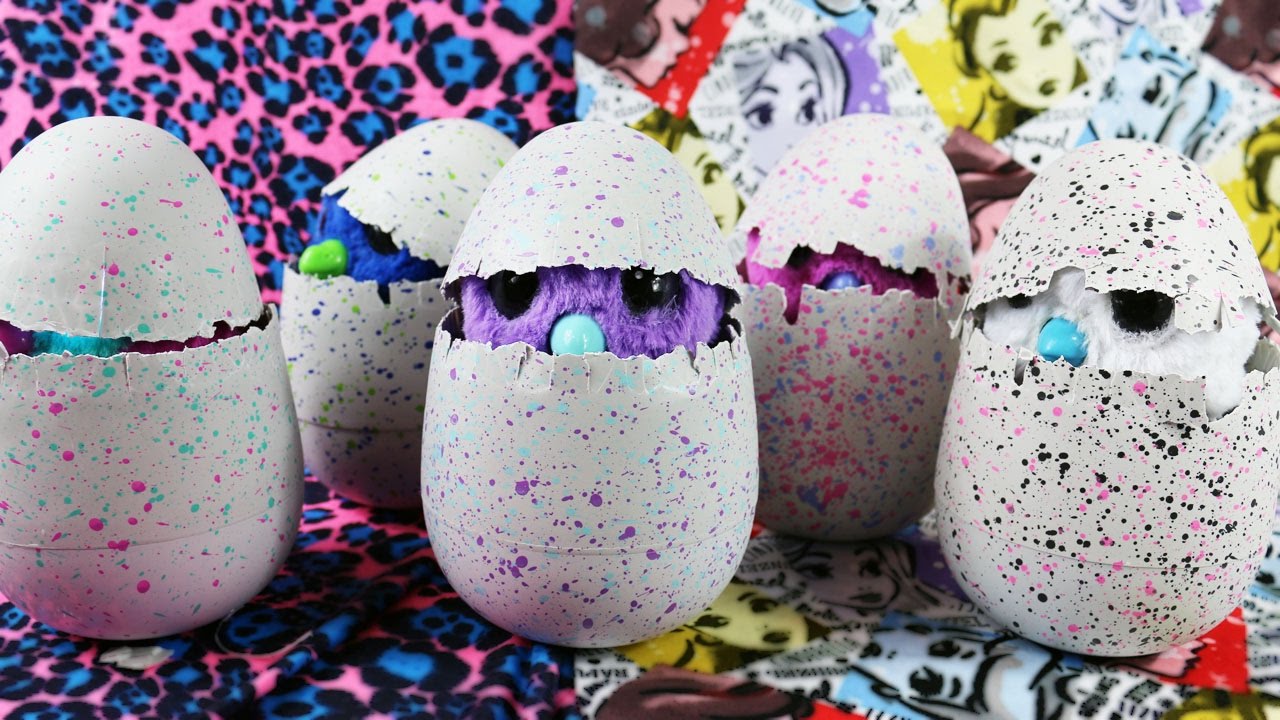 Hatchimals: come si apre e istruzioni