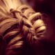 Come fare lo chignon con treccia a gabbia