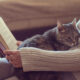 Libri che parlano di grandi donne