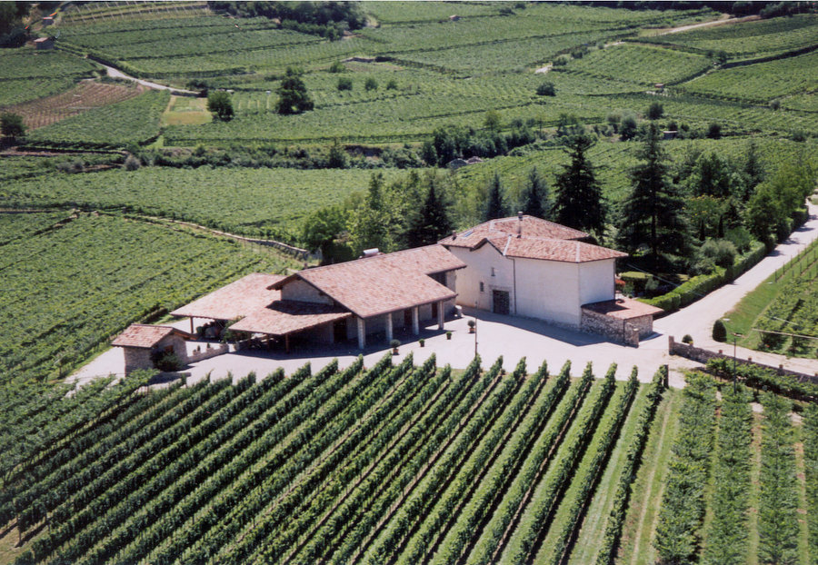 Fattoria circondata da vigneto in Vallagarina Trento