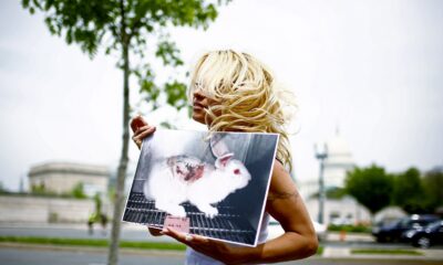 Test animali