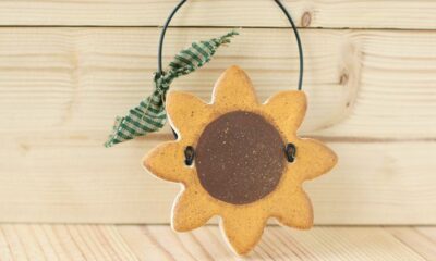 girasoli in pasta di sale