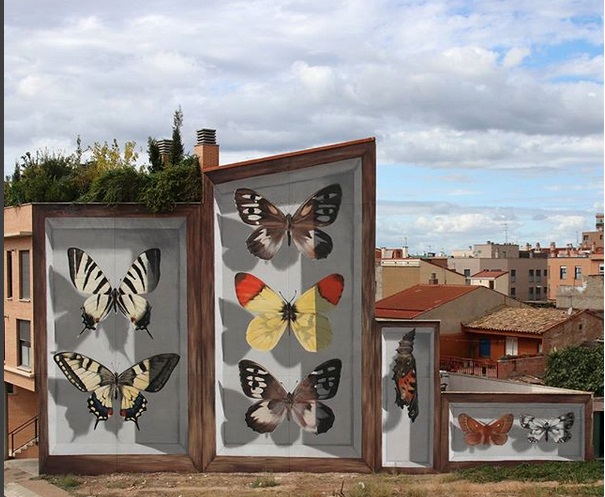 Street Art, l’artista che ravviva i quartieri con murales di farfalle giganti