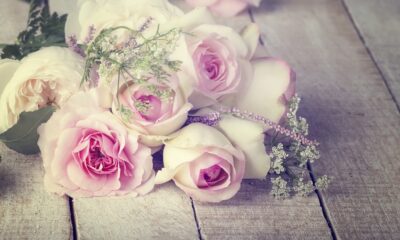 Muore d'infarto mentre lancia il bouquet