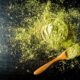 Polvere di Matcha