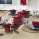 Poinsettia Day 2017